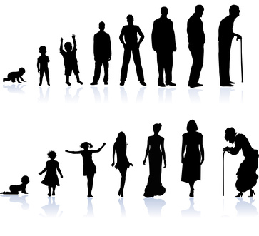 Stages of Life